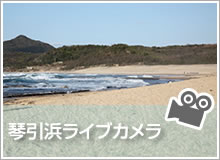 琴引浜ライブカメラ