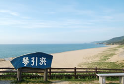 周辺観光 京都 丹後 天然鳴き砂温泉 琴引浜 島田荘