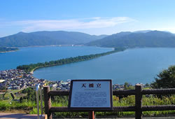 傘松公園